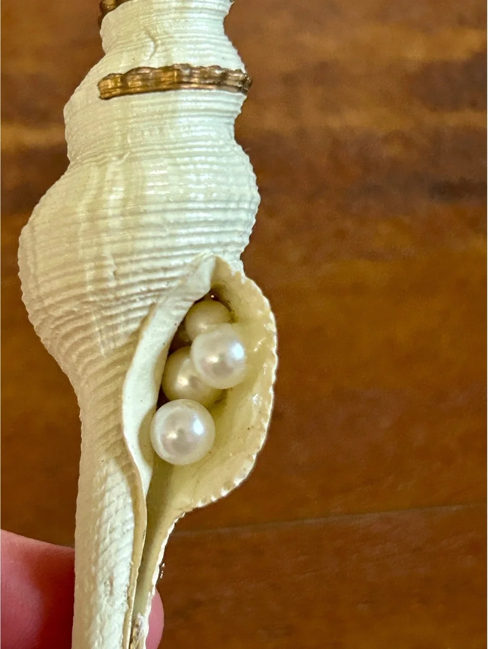 Decorative Seashell Ornament with Pearls and Gold Accents